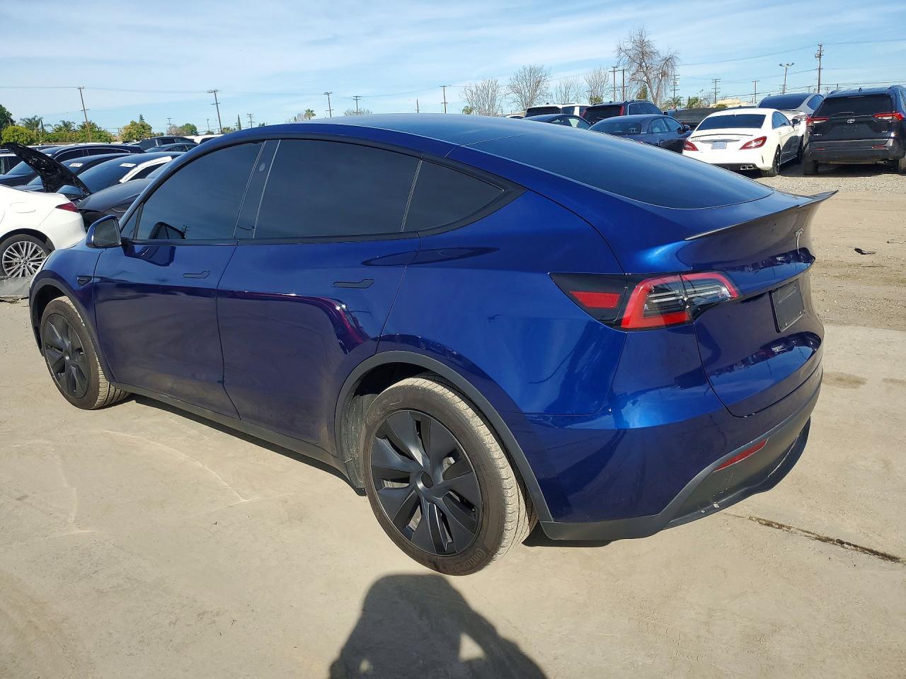 2025 Tesla Model y