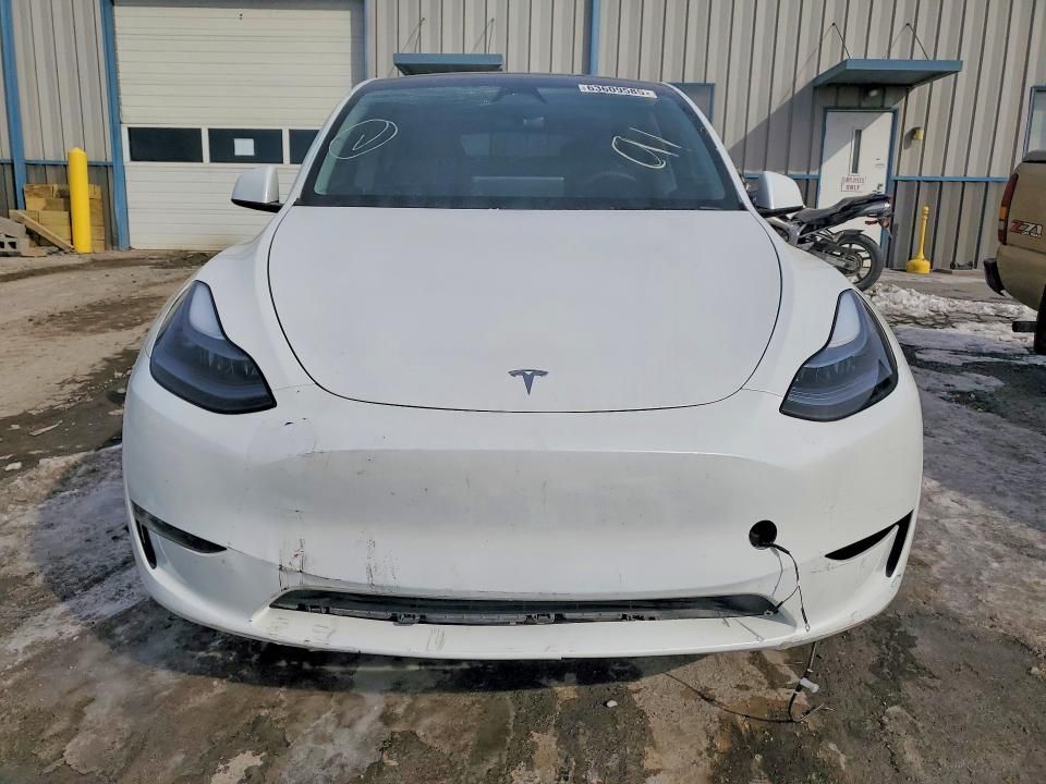 2025 Tesla Model y