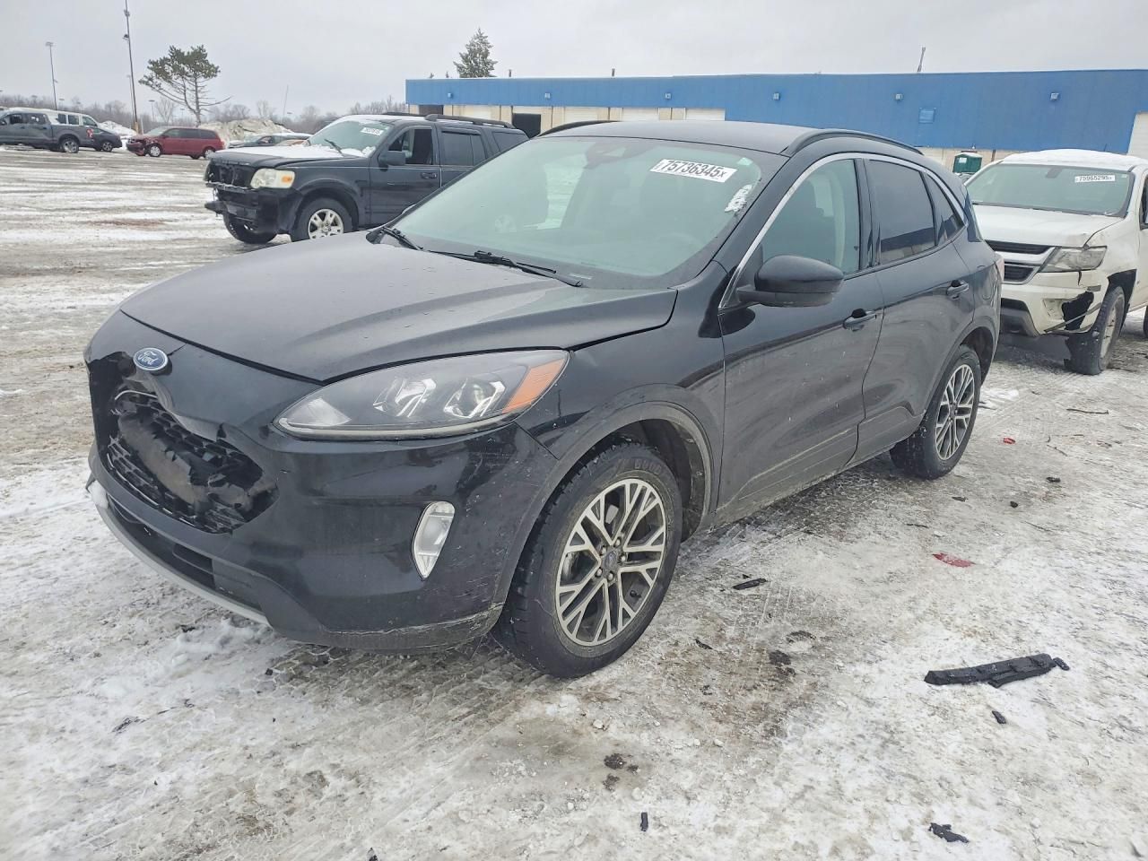 2020 Ford Escape sel