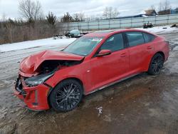 2020 Cadillac CT5 Sport for sale in Columbia Station, OH