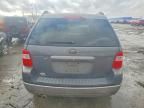 2005 Ford Freestyle sel