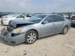 Niss Maxima salvage cars for sale: 2007 Niss Maxima