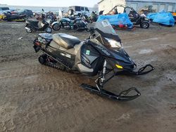 2017 Other Snow Mobile MXZ800 en venta en Davison, MI