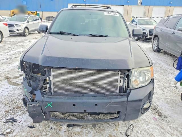 2011 Ford Escape Limited