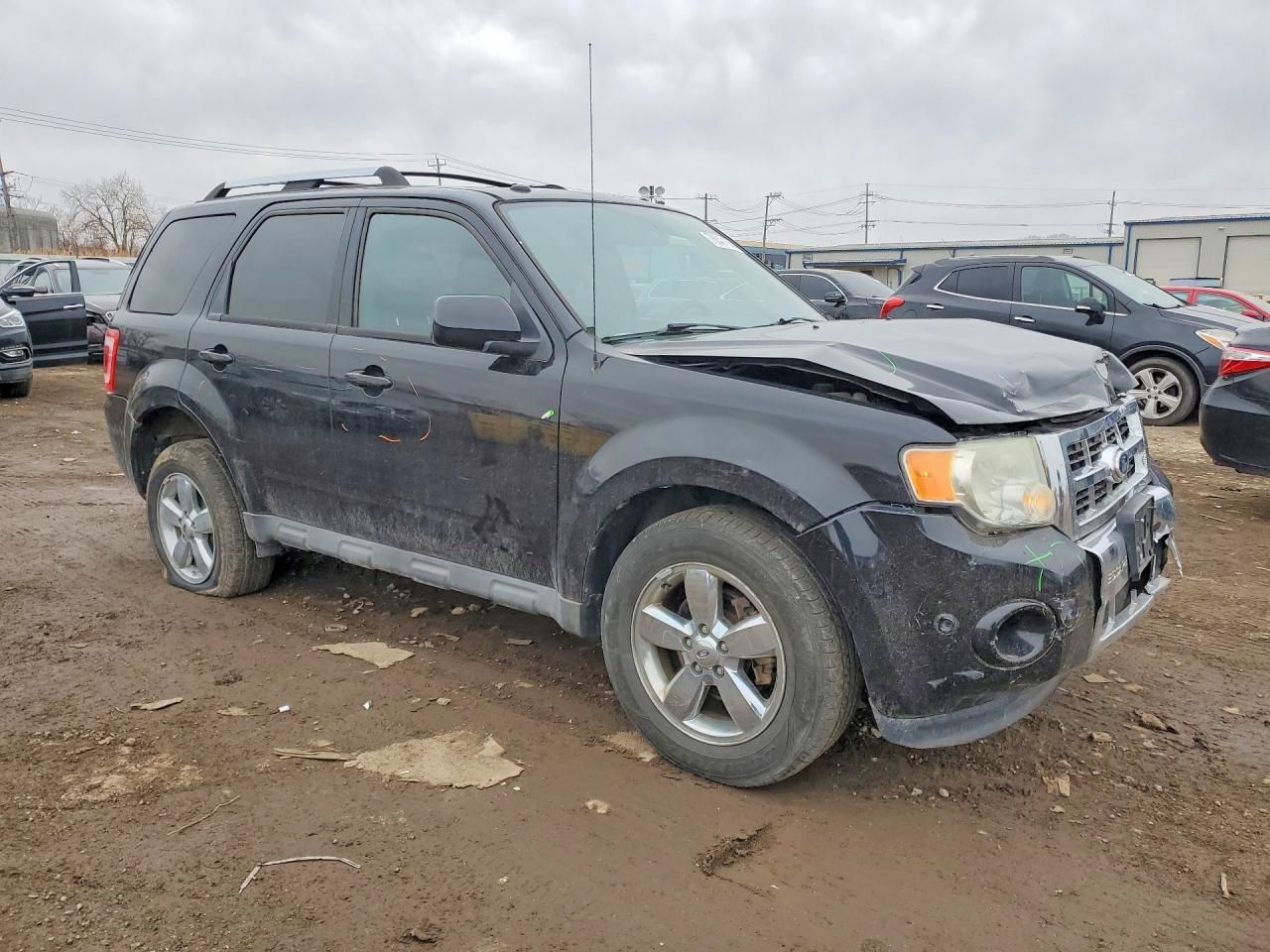 2010 Ford Escape Limited