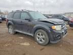 2010 Ford Escape Limited
