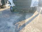 2020 Freightliner Cascadia 116