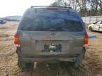 2006 Ford Escape hev