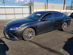 2023 Lexus Es 300h Base for sale in Sun Valley, CA