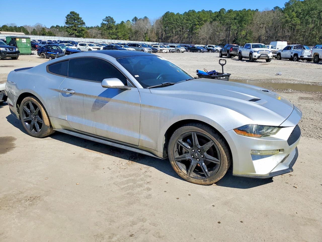 2019 Ford Mustang