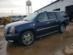 2008 Cadillac Escalade esv