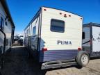 2018 Puma Palomino