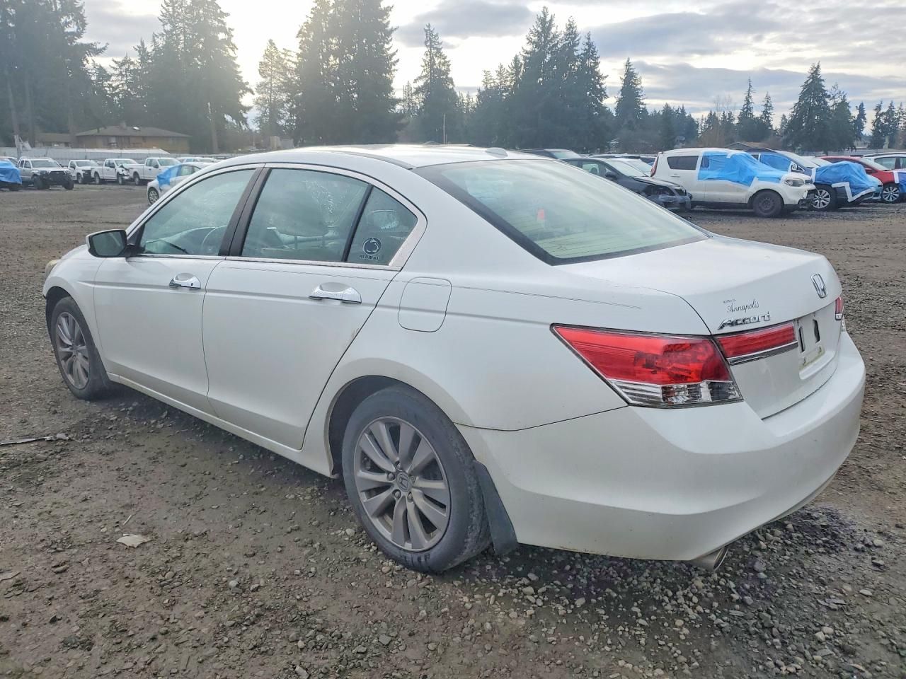 2012 Honda Accord exl