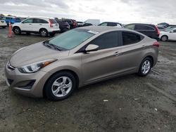 Hyundai Elantra salvage cars for sale: 2015 Hyundai Elantra se