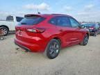 2024 Ford Escape st Line