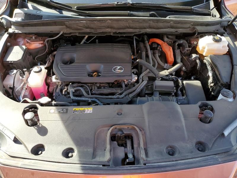 2024 Lexus Rx 350h Base