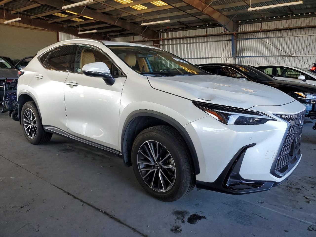 2025 Lexus Nx 350h Base