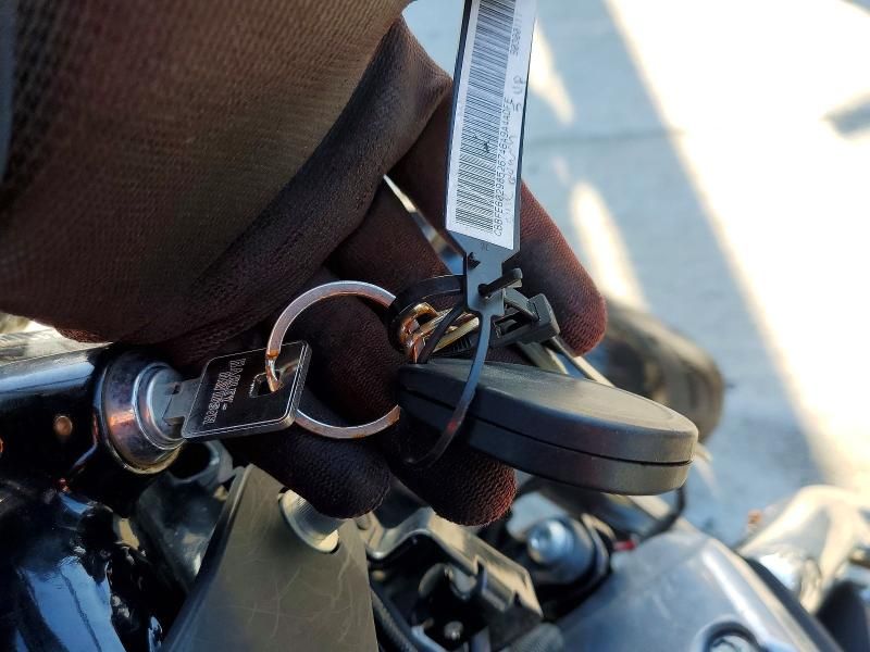 2020 Harley-Davidson Xl1200 x