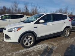 2016 Ford Escape se for sale in Leroy, NY