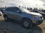 2011 KIA Sorento Base