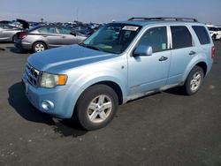 Vehiculos salvage en venta de Copart Martinez, CA: 2008 Ford Escape hev