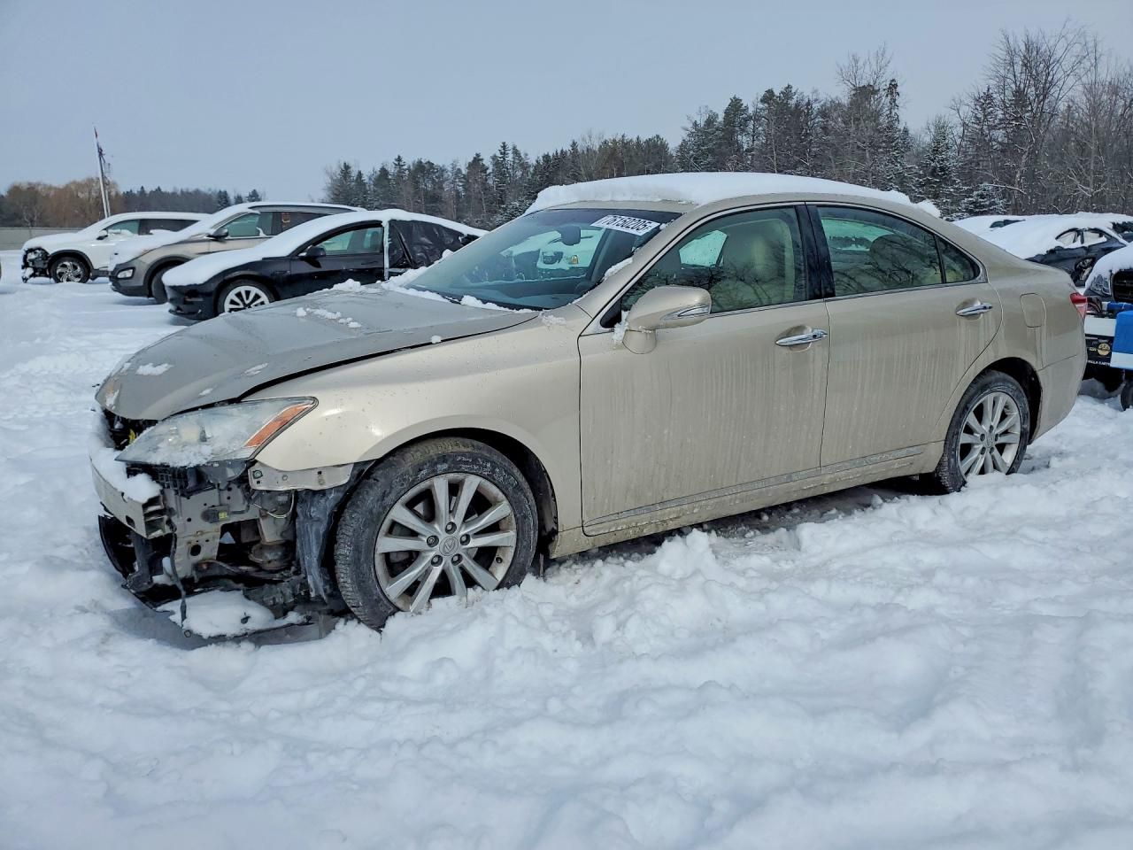 2010 Lexus Es 350