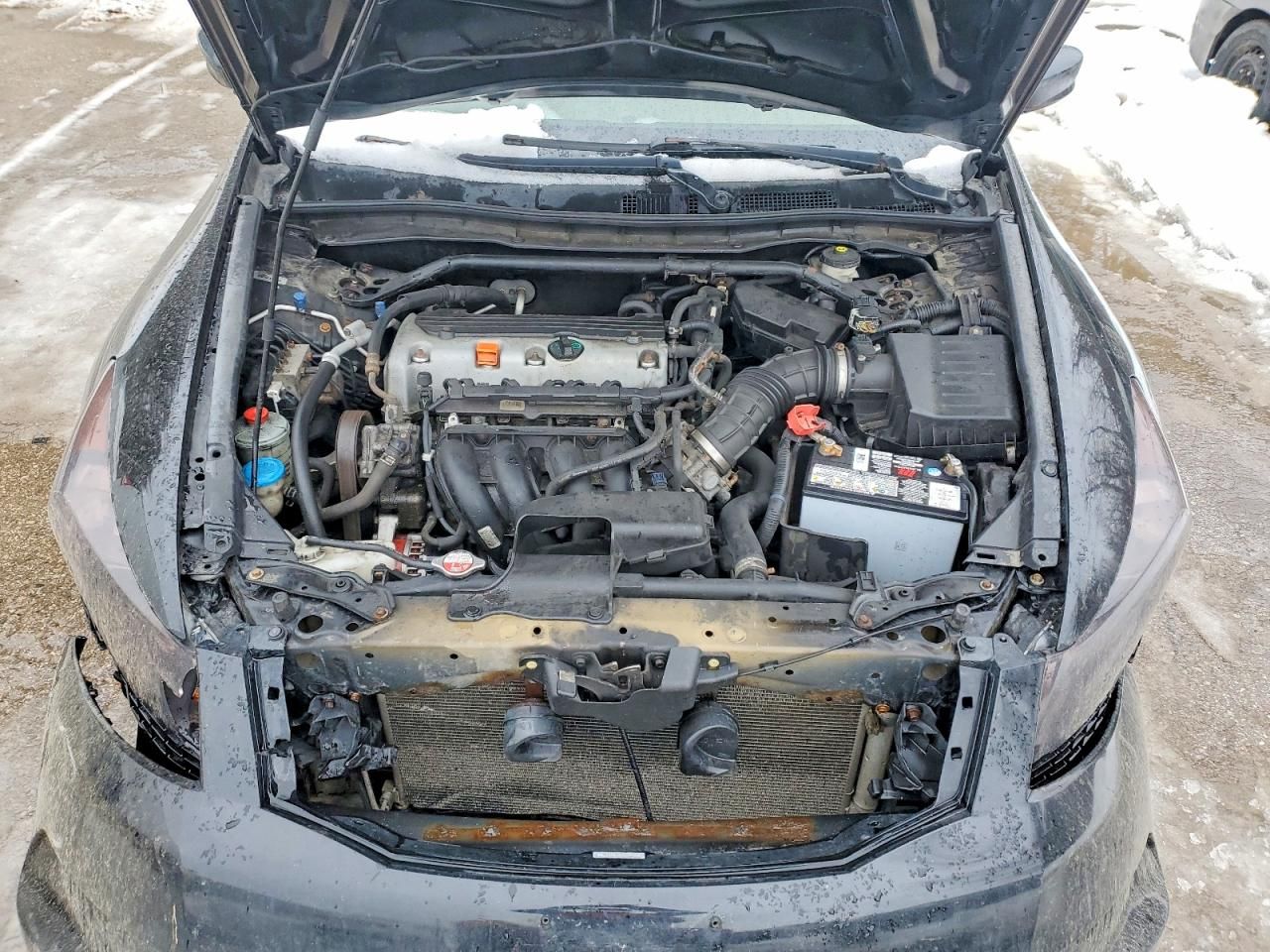 2010 Honda Accord exl