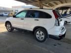 2011 Honda Cr-v lx