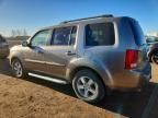 2009 Honda Pilot exl