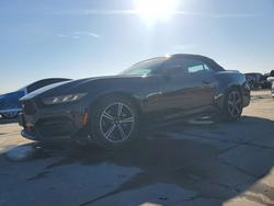 2025 Ford Mustang for sale in Grand Prairie, TX