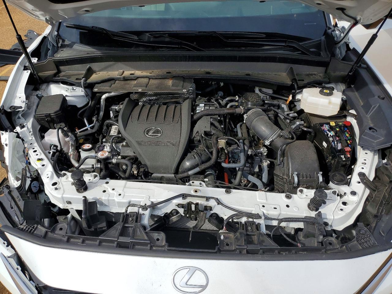 2024 Lexus Tx 500h f Sport Premium