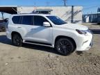 2023 Lexus Gx 460 Luxury