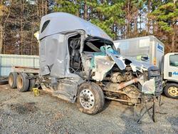 Freigliner 2020 Freightliner Cascadi salvage cars for sale: 2020 Freigliner 2020 Freightliner Cascadia Semi Truck