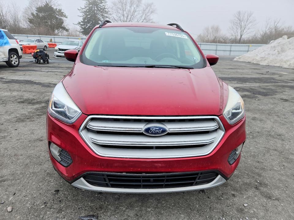 2019 Ford Escape sel