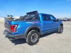 2019 Ford F150 Raptor