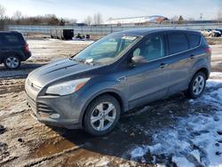2015 Ford Escape se en venta en Columbia Station, OH