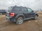 2010 Ford Escape Limited
