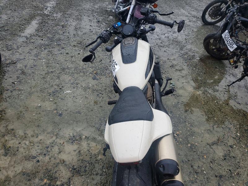 2023 Harley-Davidson RH1250 S