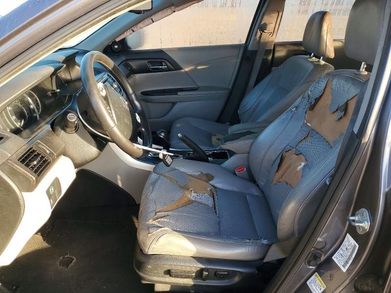 2013 Honda Accord exl