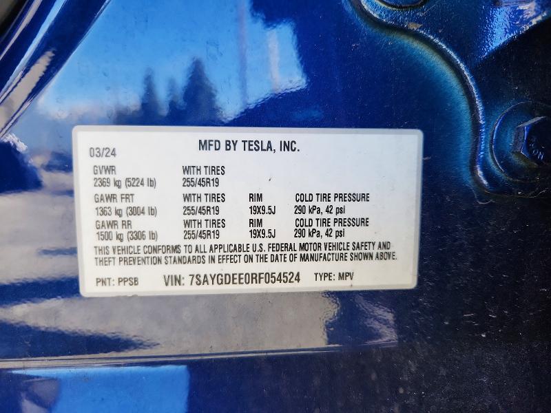 2024 Tesla Model y