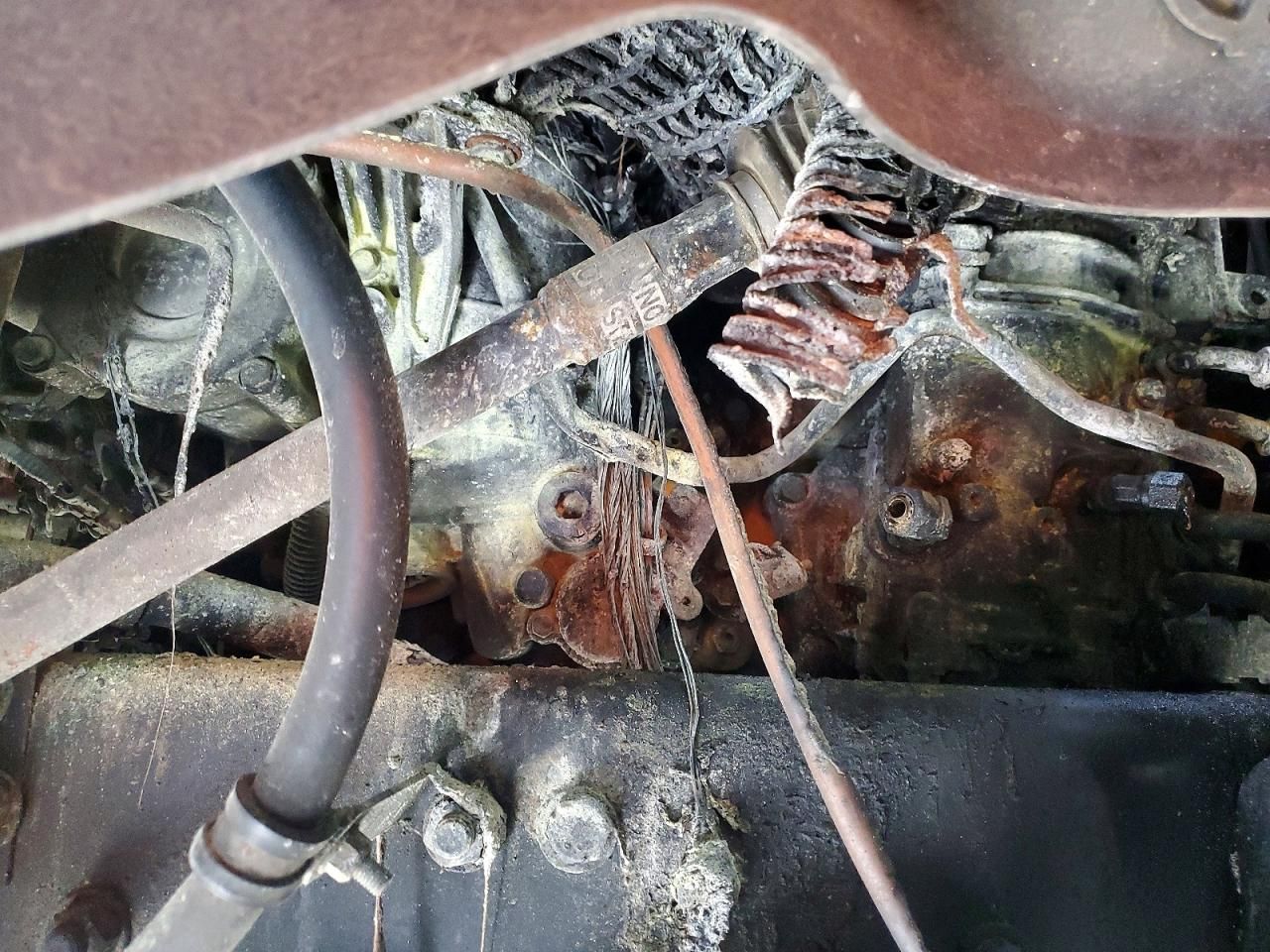 2020 Freightliner Cascadia 126 Semi Truck