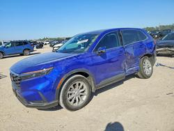 Salvage cars for sale from Copart Houston, TX: 2024 Honda Cr-v exl