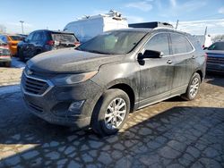 Chevrolet salvage cars for sale: 2019 Chevrolet Equinox lt