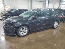 Ford Focus salvage cars for sale: 2014 Ford Focus se