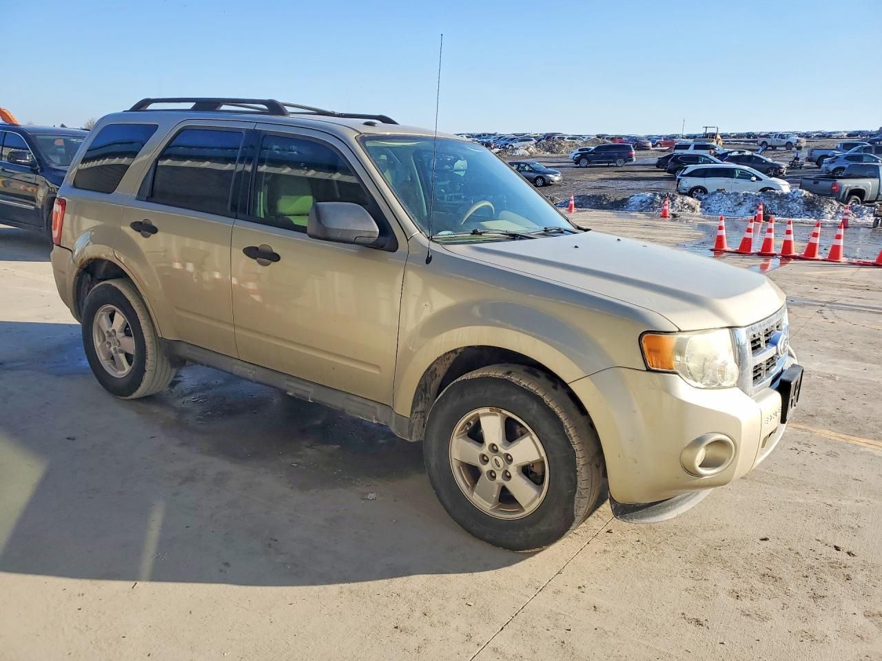 2011 Ford Escape xlt