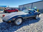 1979 Chev Corvette