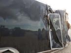 2024 Forest River Enclosed Cargo Trail
