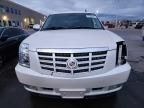2008 Cadillac Escalade Luxury