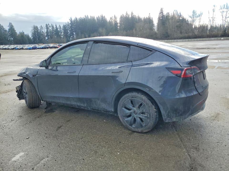 2025 Tesla Model y