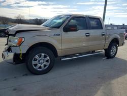 2014 Ford F150 Supercrew for sale in Lebanon, TN